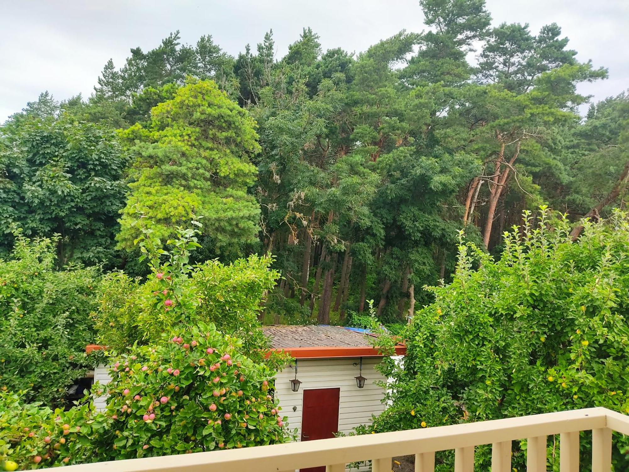Kopa Cabana พาลังกา ภายนอก รูปภาพ